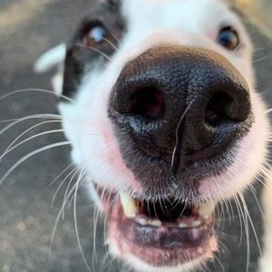 Meet your Posher, Jason